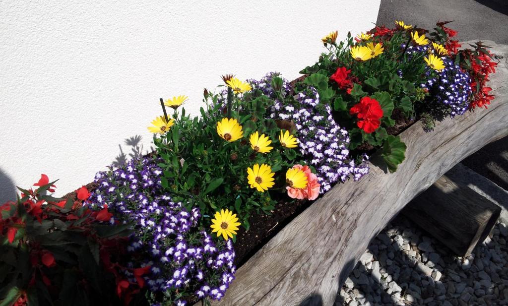 Apartament Haus Rosmarie Neustift im Stubaital Pokój zdjęcie